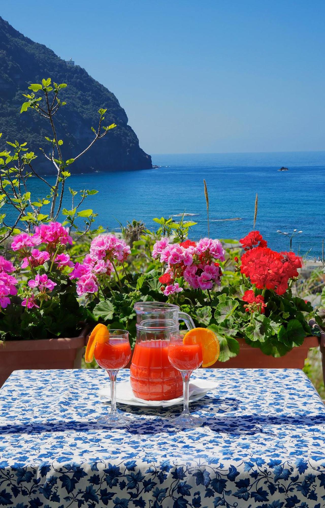Hotel Casa Del Sole Forio di Ischia Kültér fotó